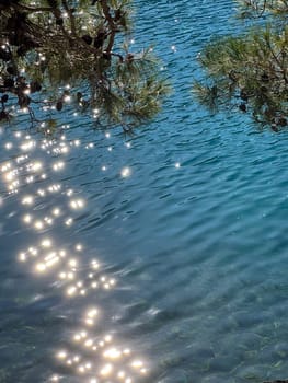 Sparkling Water Reflections Under Pine Tree Branches. copy space. High quality photo