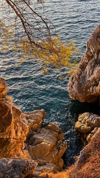 Rugged golden cliffs rise above turquoise waters, framed by overhanging pine branches in a coastal scene. . High quality photo