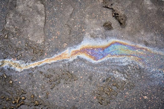 Brilliant oil leak creating a vibrant rainbow sheen on the surface of a wet road.