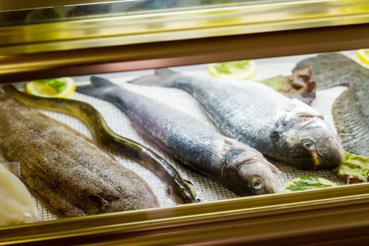 sea fish lies on the counter, food