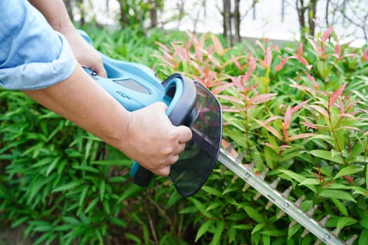 Gardener trimming bush by electric hedge clippers in garden. Hobby at home.