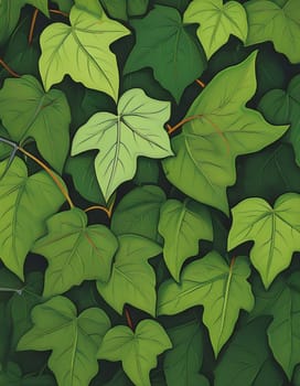 ivy scientific name Hedera plant useful as a background