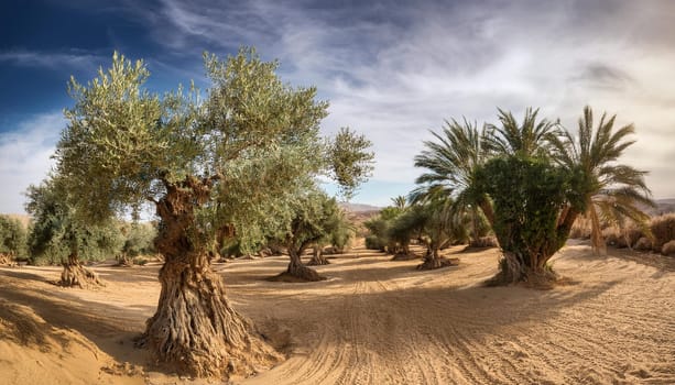 natural scene with olive trees, AI generated image