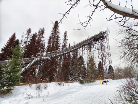 Snow covers the ground as an old ski jump stands tall among tall evergreen trees in a quiet forest during winter.