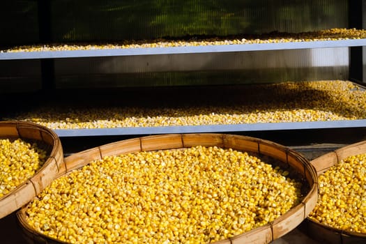 Close up of corn seeds in a basket on a market stall.
