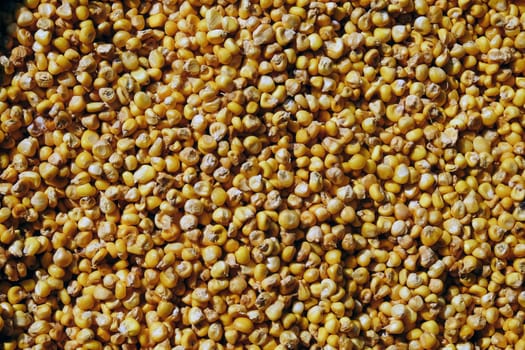 Close up of Corn seed grains. Food background. Top view.