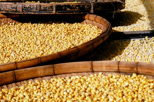 Close up of corn seeds in a basket on a market stall.