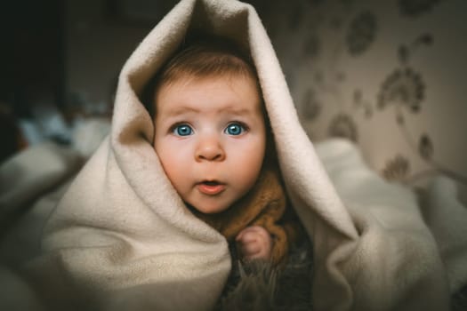 Blue-eyed baby girl crawling on bed under the blanket. Adorable kid portrait. 5 month old child. Childhood concept. High quality photo