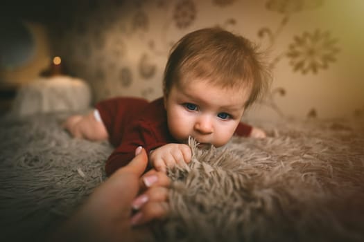 Blue-eyed baby girl in red clothes close up crawling on bed. Adorable kid portrait. 5 month old child. Childhood concept. High quality photo