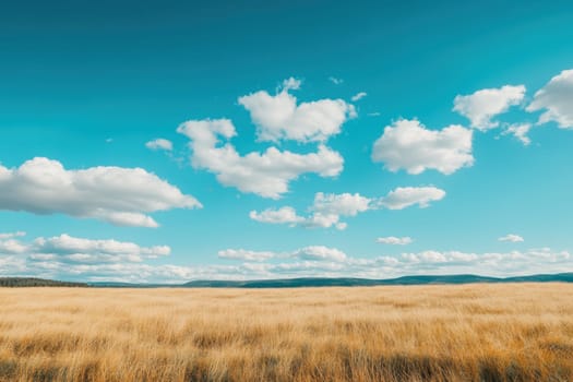 A field of tall grass with a clear blue sky above. The sky is dotted with clouds, giving the scene a peaceful and serene atmosphere