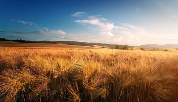 field of corn background, AI generated image