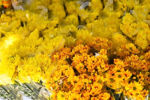 Yellow Chrysanthemum from Dalat city on Vietnamese street market for sale