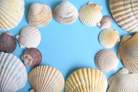 Marine frame made of Japanese sea scallop seashells on a blue background. close-up