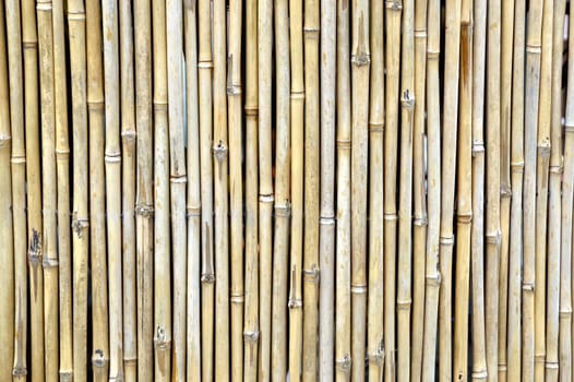 Bamboo fence in a Japanese garden