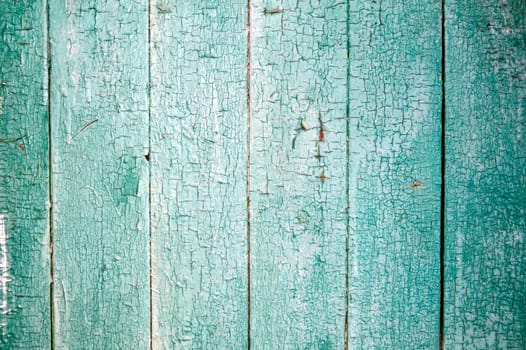 Wooden green gray wall with shabby old paint. background
