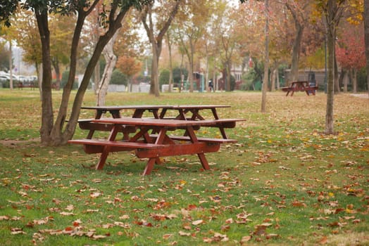 Wooden picnic tables surrounded by colorful autumn leaves.