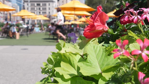 New York City, United States - 6 Sept 2023: Manhattan Midtown Broadway, 23 street, 5 avenue crossroad. Worth Square by Madison Park, Flatiron Building, USA. People on chairs and tables. Summer flowers