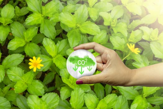 Woman hand shows a sign of carbon reduction for decreased CO2. Concepts of environmental protection, climate change, global warming, or net zero carbon neutral