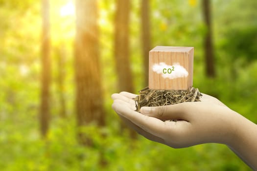 The human hand shows a sign of carbon reduction for decreased CO2. Concepts of environmental protection, climate change, global warming, or net zero carbon neutral