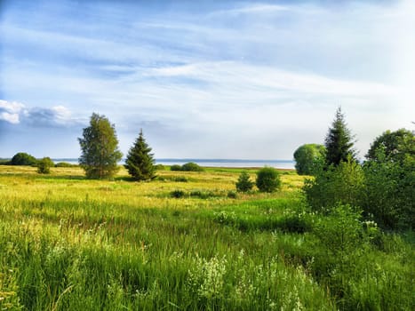 Expansive green landscape featuring trees and a serene body of water under a bright sky during daylight.