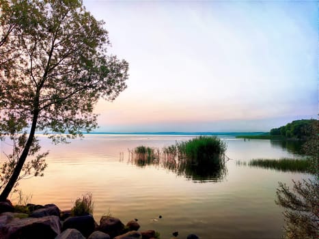 Sunset casts a warm glow over serene waters, highlighting plants along the shore and creating a peaceful atmosphere.