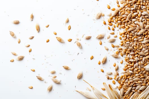 Healthy food, grains. Barley grains scattered on a table. White background