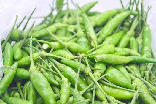 Close-up of Thai hot peppers, green chilies