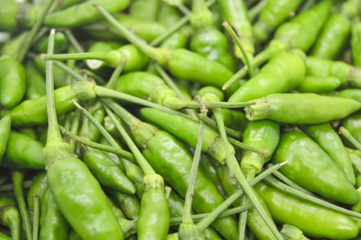 Close-up of Thai hot peppers, green chilies