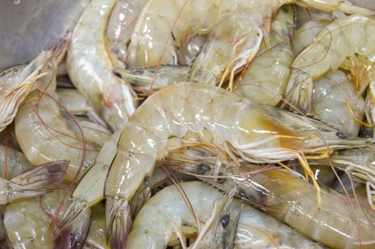 fresh shrimp, seafood It is an economic animal that is widely popular. All countries consume