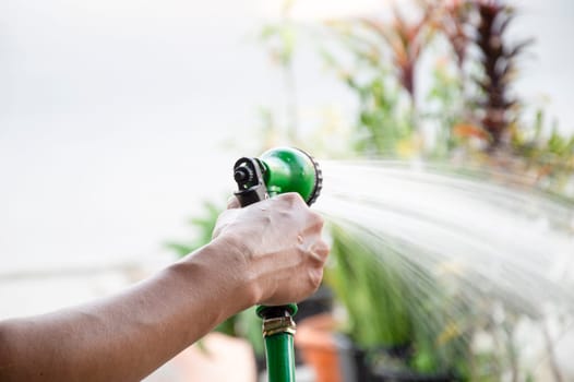 Picture of a gardener using water spray to water the plants.