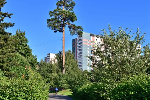 Zelenograd - Moscow district translated as a Green city, with a lot of parks, Russia