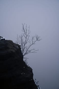 View of a rocky outcrop of the Großer Zschirnstein with a single tree in the fog, during a hike. From the nature park in the Elbe Sandstone Mountains. Landscape of things in Germany