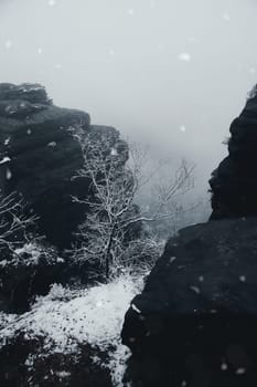 Rock formation on the Großer Zschirnstein, in snowfall with a tree in the fog. Landscape in Germany