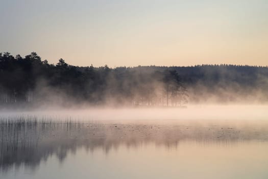 Sunrise with fog forming over a lake in Sweden, at dawn. Romantic silence, in the Scandinavian nature