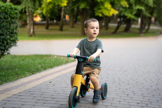 A cute toddler boy of two or three years old rides a bicycle or balance bike in a city park on a sunny summer day. Toddlerhood and childhood concept. Selective focus