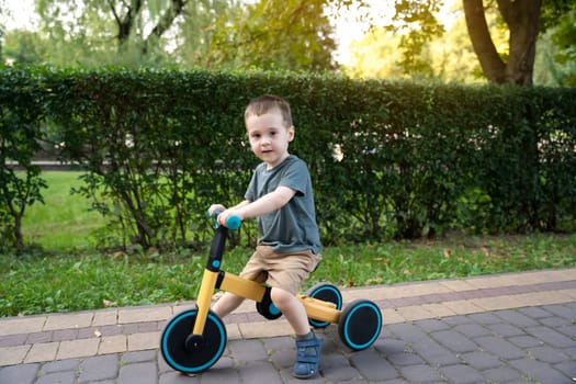 A cute toddler boy of two or three years old rides a bicycle or balance bike in a city park on a sunny summer day. Toddlerhood and childhood concept. Selective focus