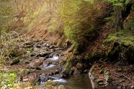 Beautiful autumn landscape in Carpathian Mountains. Mountain river in the forest with stones. Tatariv, Ivano-Frankivsk Oblast. Road to Huk waterfall. Selective focus