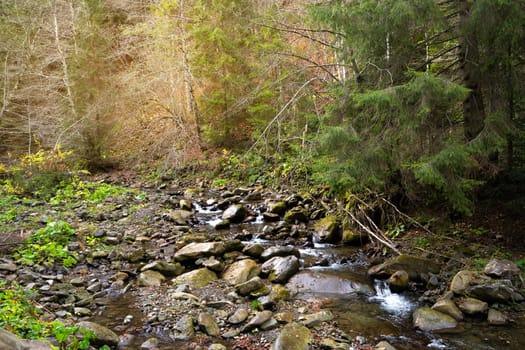 Beautiful autumn landscape in Carpathian Mountains. Mountain river in the forest with stones. Tatariv, Ivano-Frankivsk Oblast. Road to Huk waterfall. Selective focus