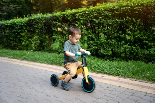A smiling toddler boy of two or three years old rides a bicycle or balance bike in a city park on a sunny summer day. Toddlerhood and childhood concept. Selective focus