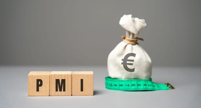 PMI on a blocks concept - Purchasing Managers' Index. Economic indicators derived from monthly surveys of private companies. Business assessments and finance concept. PMI Project Management Institute
