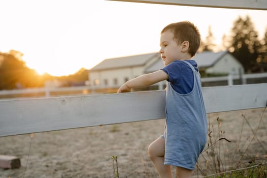 Cute toddler boy two or three years old stands leaning on a fence on a sunny summer day. Summer sunset light. Horse farm