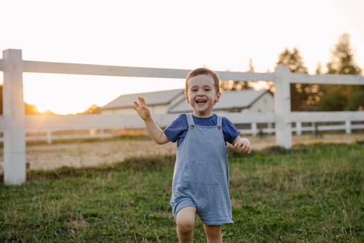 Happy smiling toddler boy two or three years old boy running on a farm. Active children leisure outdoors. Summer sunset light