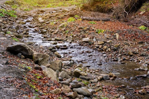 Beautiful autumn landscape in Carpathian Mountains. Mountain river in the forest with stones. Tatariv, Ivano-Frankivsk Oblast. Road to Huk waterfall. Selective focus