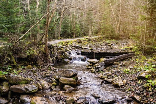 Beautiful autumn landscape in Carpathian Mountains. Mountain river in the forest with stones. Tatariv, Ivano-Frankivsk Oblast. Road to Huk waterfall. Selective focus