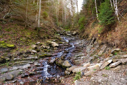 Beautiful autumn or fall landscape in Carpathian Mountains, Ukraine. Mountain river in the forest with stones. Tatariv, Ivano-Frankivsk Oblast. Road to Huk waterfall. Selective focus