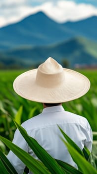 Farmer wearing traditional sombrero inspecting crops in green field with mountain view