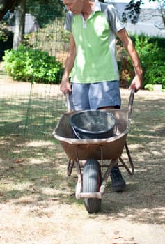 Man in a green shirt pushing a wheelbarrow with a black bucket in a garden, surrounded by grass and trees, Gardening concept,