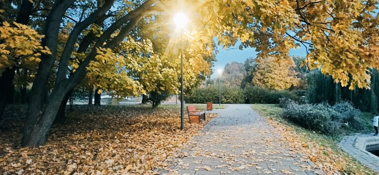 A peaceful park pathway during autumn showcases vibrant yellow leaves and a soft glow from a nearby streetlight. The scene invites tranquility as nature prepares for winter.