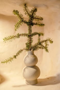 decorative clay vase with pine branch. beige, craft vase stands on the shelf as a decorative element. made of natural materials, photo has a vertical orientation