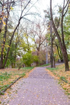 A serene pathway winds through a park during autumn, with golden and brown leaves blanketing the ground. Trees with various shades of green and yellow create a picturesque setting.